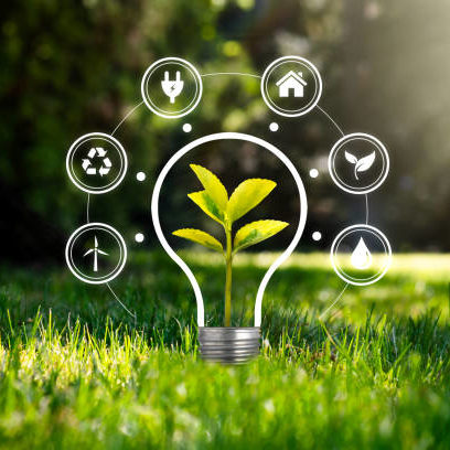 Environmental protection, renewable, sustainable energy sources. Plant growing in the bulb concept