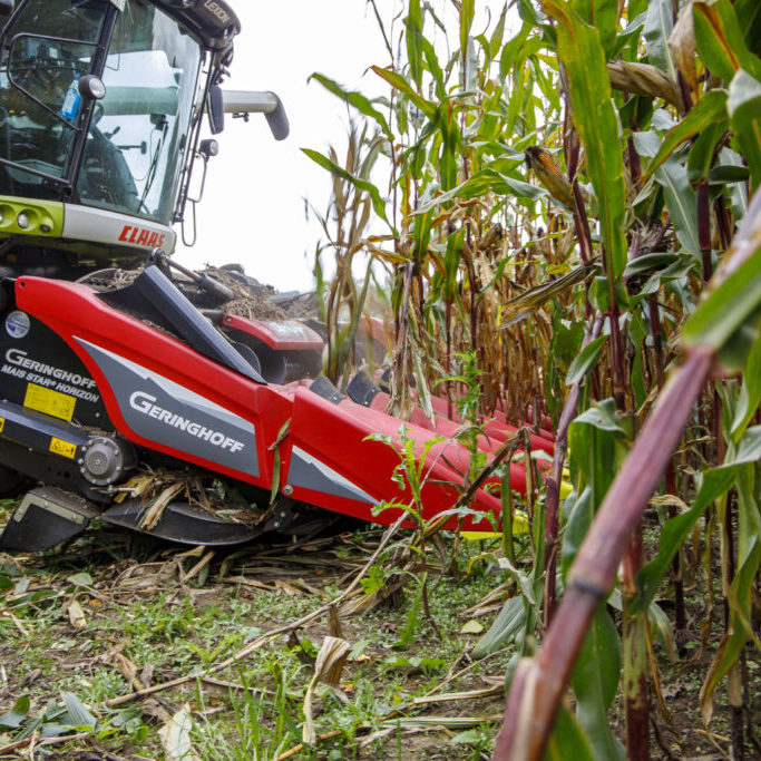 TRANSFERT ROTO T873 KOEVER (3)